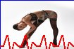 ADS İstanbul Pendik Escort - İstanbul Pendik Vip Kızlar