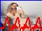 ADS İzmir Escort Kızlar