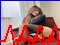 ADS Ankara Sincan Escort Bayanlar